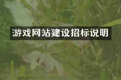 游戏网站建设招标说明