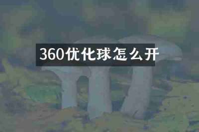 360优化球怎么开