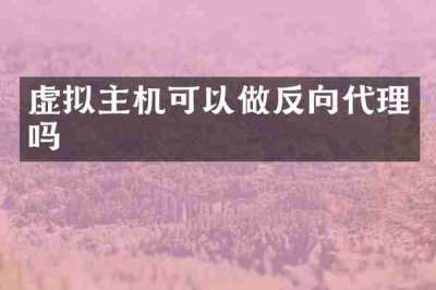 虚拟主机可以做反向代理吗