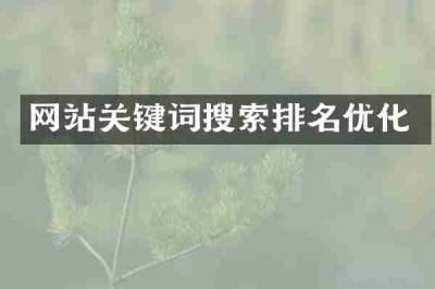 网站关键词搜索排名优化