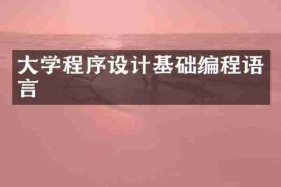 大学程序设计基础编程语言