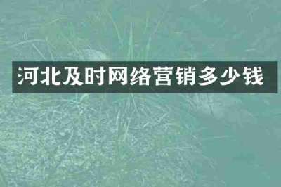 河北及时网络营销多少钱