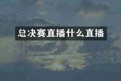 总决赛直播什么直播