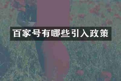 百家号有哪些引入政策