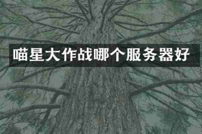喵星大作战哪个服务器好