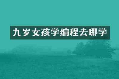 九岁女孩学编程去哪学