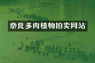 奈良多肉植物拍卖网站