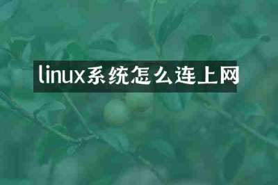linux系统怎么连上网