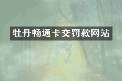 牡丹畅通卡交罚款网站