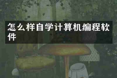 怎么样自学计算机编程软件