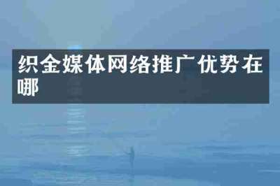 织金媒体网络推广优势在哪