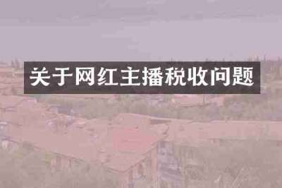 关于网红主播税收问题