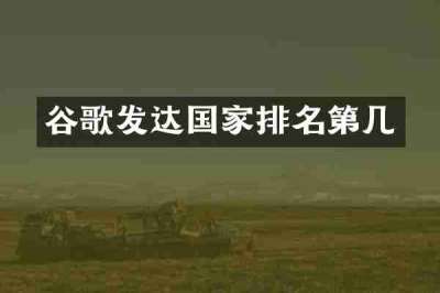 谷歌发达国家排名第几