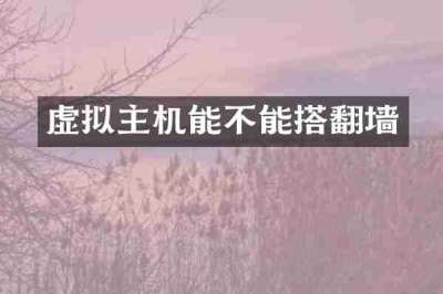 虚拟主机能不能搭翻墙