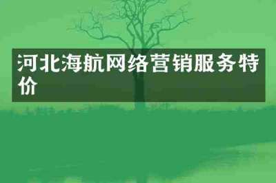 河北海航网络营销服务特价