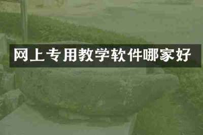 网上专用教学软件哪家好