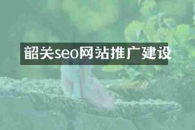 韶关seo网站推广建设