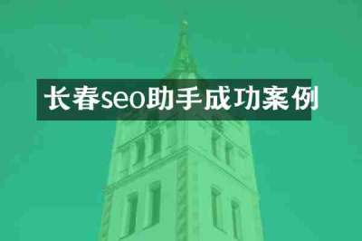 长春seo助手成功案例