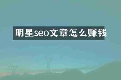 明星seo文章怎么赚钱