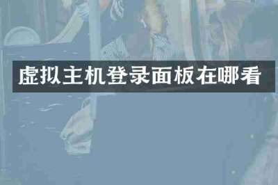 虚拟主机登录面板在哪看