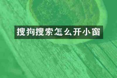 搜狗搜索怎么开小窗