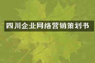 四川企业网络营销策划书