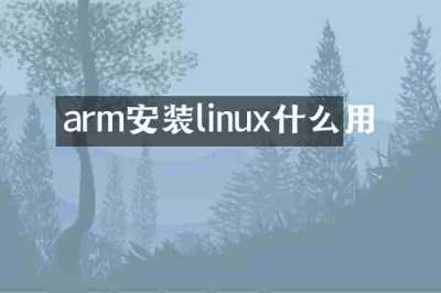 arm安装linux什么用
