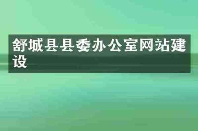 舒城县县委办公室网站建设