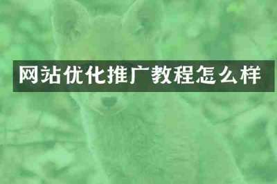 网站优化推广教程怎么样