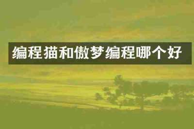 编程猫和傲梦编程哪个好
