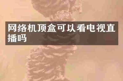 网络机顶盒可以看电视直播吗