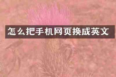 怎么把手机网页换成英文