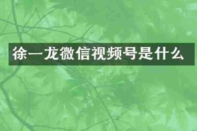 徐一龙微信视频号是什么