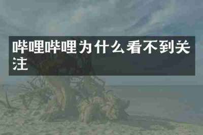 哔哩哔哩为什么看不到关注
