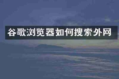 谷歌浏览器如何搜索外网