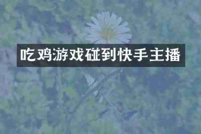 吃鸡游戏碰到快手主播