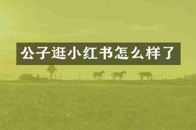 公子逛小红书怎么样了