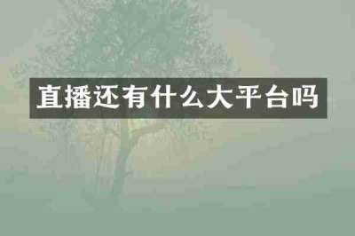 直播还有什么大平台吗