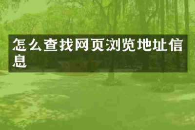 怎么查找网页浏览地址信息