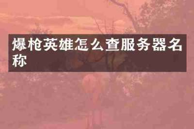 爆枪英雄怎么查服务器名称