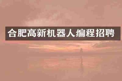 合肥高新机器人编程招聘