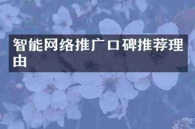 智能网络推广口碑推荐理由