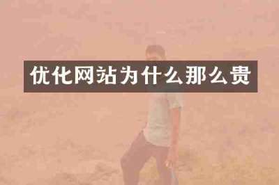优化网站为什么那么贵