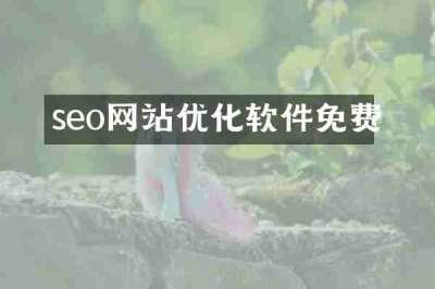 seo网站优化软件免费