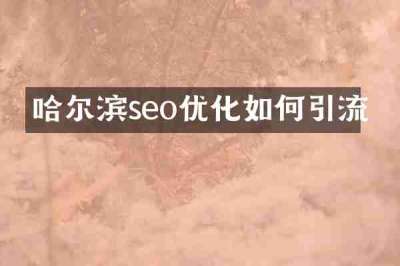 哈尔滨seo优化如何引流
