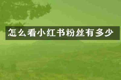 怎么看小红书粉丝有多少