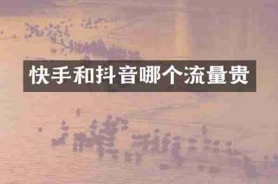 快手和抖音哪个流量贵