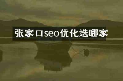张家口seo优化选哪家