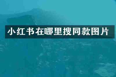 小红书在哪里搜同款图片