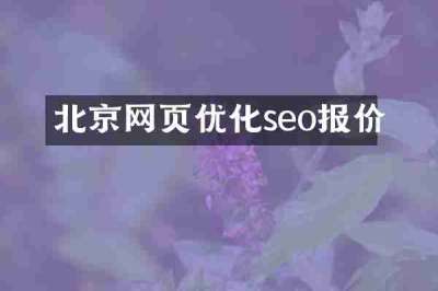北京网页优化seo报价